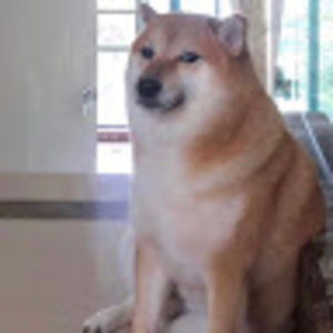 Meet your Posher, Dylan